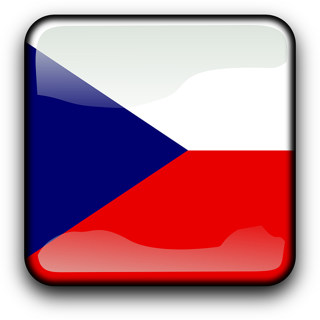 CZ Flag